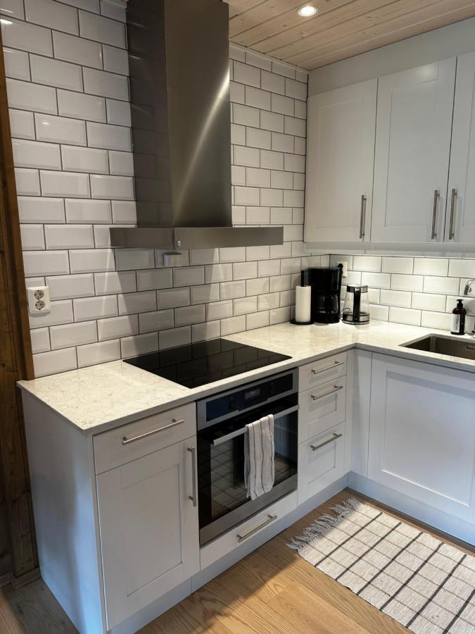 Nice Apartment On Geilotunet, Close To City Center Dış mekan fotoğraf